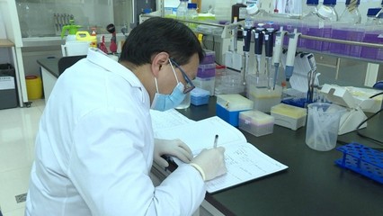 ICGEB泰州区域研究中心:专注科研助力生物医药产业发展