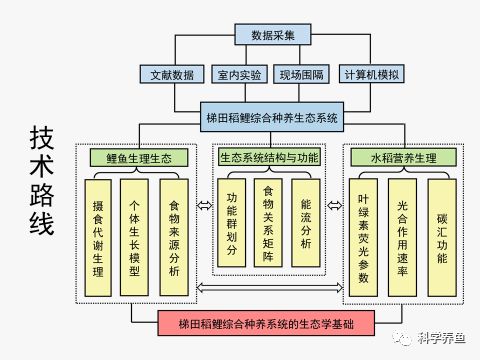 院士工作站挂牌,稻渔基础研究研讨,冬闲田放养试验启动,红河哈尼梯田 稻渔共作 产业扶贫迈上新台阶